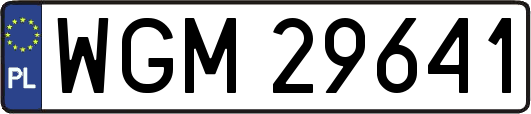 WGM29641