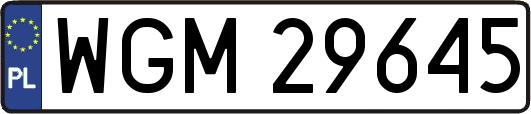 WGM29645