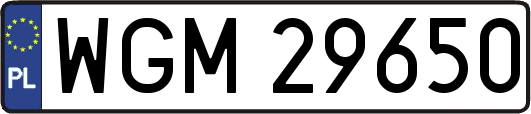 WGM29650