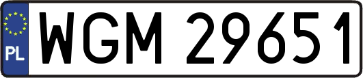 WGM29651