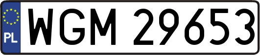 WGM29653