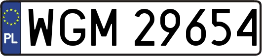 WGM29654