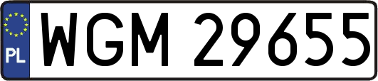 WGM29655
