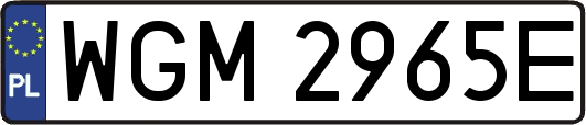 WGM2965E