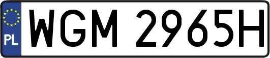WGM2965H