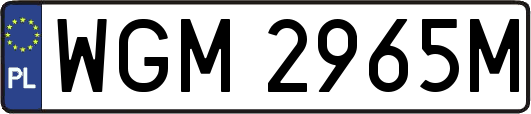 WGM2965M
