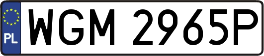 WGM2965P