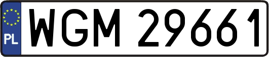 WGM29661
