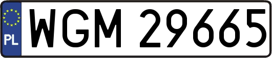 WGM29665