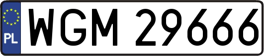 WGM29666