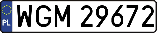 WGM29672