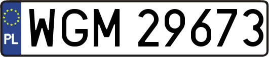 WGM29673