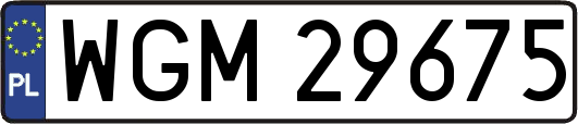 WGM29675