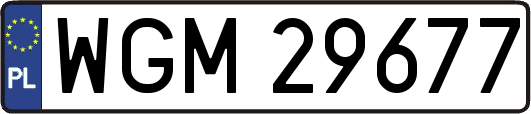 WGM29677