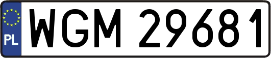 WGM29681