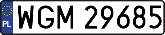 WGM29685
