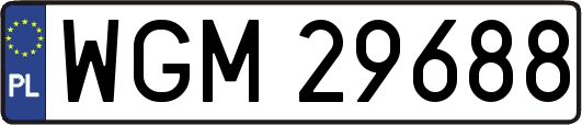 WGM29688