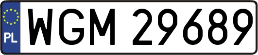 WGM29689