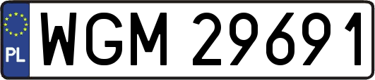WGM29691