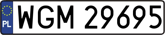 WGM29695