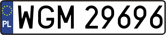 WGM29696
