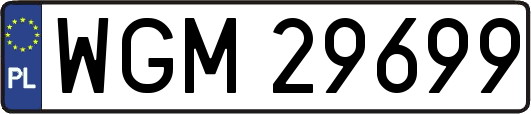 WGM29699