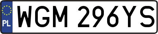 WGM296YS