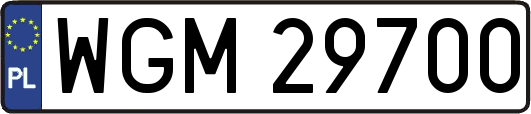 WGM29700