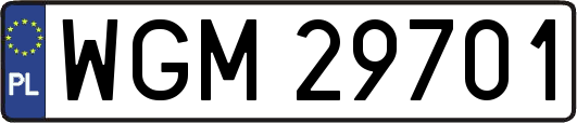 WGM29701