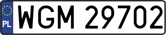 WGM29702