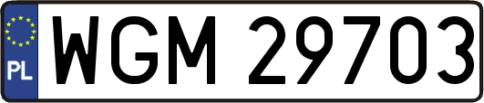 WGM29703