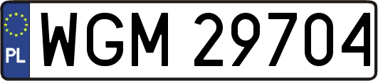 WGM29704