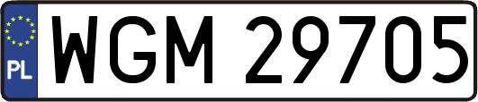 WGM29705