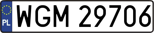 WGM29706