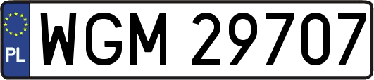 WGM29707