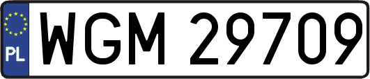 WGM29709