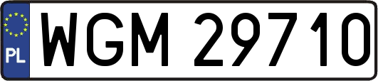 WGM29710