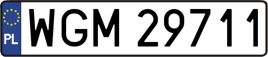 WGM29711