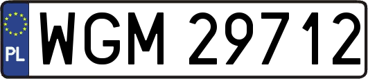 WGM29712