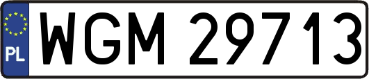 WGM29713