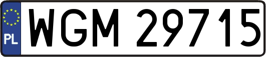 WGM29715