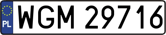 WGM29716