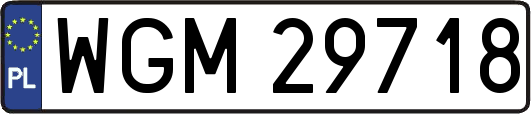 WGM29718