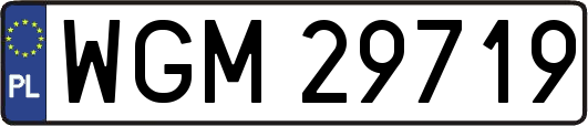 WGM29719