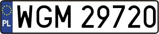 WGM29720