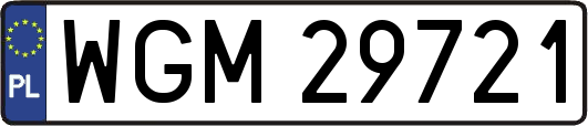 WGM29721