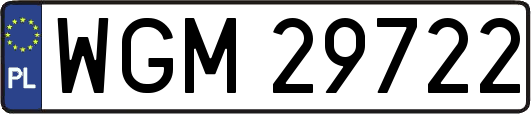 WGM29722