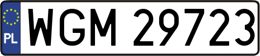 WGM29723