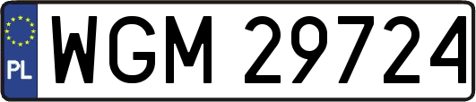 WGM29724