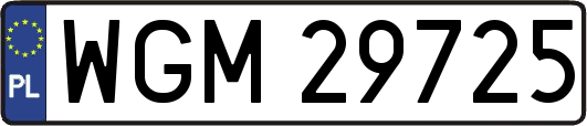 WGM29725